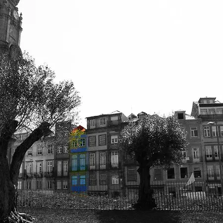 Lejlighed Chic & Cozy